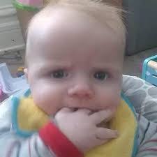 Samantha Tefft's Instagram, Twitter & Facebook