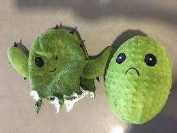 Happy holidays from silly cactus and a lil tiger. My Dog Destroyed Her Toy Cactus And There Was Another Sad Cactus Inside Mildlyinteresting