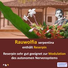 Innere Unruhe Und Bluthochdruck Gute Wirkung Von Rauwolfia Cardiopraxis
