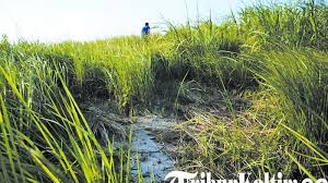 Tapi kalo komputer nya ga dicolok speakernya ga ada suara desis. Suara Beriak Mirip Air Mendidih Bikin Bulu Kuduk Berdiri Ternyata Tribun Kaltim