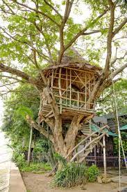 37 Pictures Of Super Fun Kids Tree Houses Tree House Kids Tree House Plans Tree House Diy