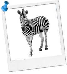 It's literally just a picture of a horse on flimsy card.the tales are also just flimsy card which you have to cut out yourself. Pin The Tail On The Donkey And Other Varitations