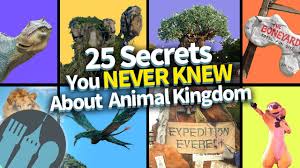 Сша добавлен 23 апр 2016. Download Dfbguide Mp4 Mp3 3gp Daily Movies Hub