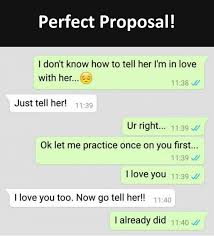 Here are some of the most hilarious proposal lines that you can't ignore. What Are Some Of The Cutest Whatsapp Proposals Quora