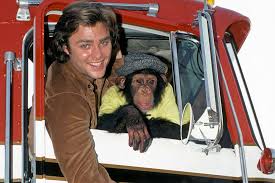 images?q=tbn:ANd9GcTgU6f9zYYk83c5v_V9JrG