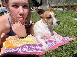 Cute little walker with lots to play with. Grandchildren have outgrown it.  Located in Northwest Spokane