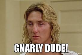 Couple 2-bill bucks 'n more deer, Two ruts?? Shoot better tips