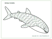 Whale Shark Coloring Page Shark Coloring Pages Coloring Pages Fish Coloring Page