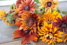 We also offer floral wedding packages & tips on wedding flowers trends. Rudbeckia Hirta A Love Letter Folk Art Flowers