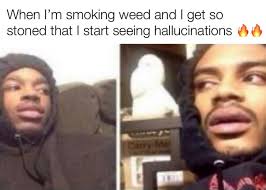 When I M Smoking Weed And I Get So Stoned That I Start Seeing Hallucinations Memes Video Gifs Wholesome Memes Keanureeves Memes Epic Memes Minecraft Memes Bigchungus Memes Kidfetish Memes