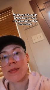 Calling A German Shepherd