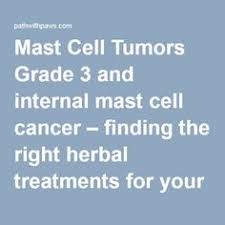 Yes, but sometimes you realize that you need to try. 31 Mast Cell Tumor Ideas Mast Cell Tumor Dog Cancer
