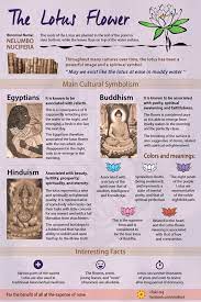 Pin On New Age Spiritual