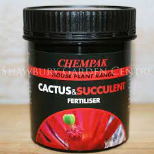 Mealybugs are cute tiny and white fuzzy insect but they are not my friends. Chempak Cactus Succulent Fertiliser