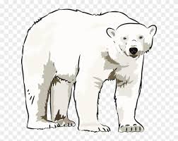 Cute polar bear clipart png. Art Polar Bear Clipart Clipart Kid Clip Art Polar Bear Png Download 1198855 Pikpng