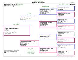 Printable Rabbit Pedigree Chart Www Bedowntowndaytona Com