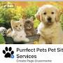Purrfect Pet Sit from nextdoor.com
