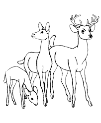 Bambi's tale unfolds from season to season as the young prince of the forest learns about life, love, and friends in this classic film. Deer Family Deer Family Deer Coloring Pages Animal Coloring Pages Deer Coloring Page