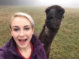 Are parsnip leaves edible?