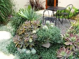 We did not find results for: The Best Outdoor Plants For Shaded Areas Succulent Garden Design Drought Tolerant Garden Outdoor Plants