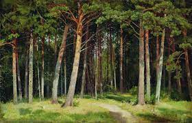 Reproduções De Pinturas Floresta de pinho, 1885 por Ivan Ivanovich Shishkin  (1832-1898, Russia) | ArtsDot.com