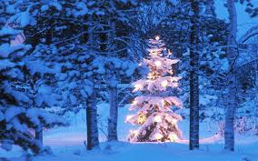 We did not find results for: 74 Christmas Tree Desktop Background