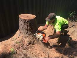 Check spelling or type a new query. The Joy Of Wood Departing Gifts From A Silky Oak Tree