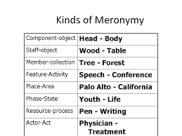 A meronym denotes a constituent part of, or a member of something. Cs 626 449 Speech Nlp And The Web Topics