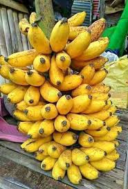 Pin On Fruits