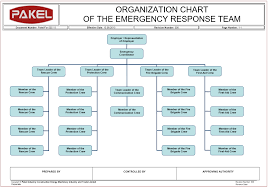 Hse Organization Chart Pakel Ltd