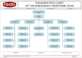 hse organization chart pakel ltd