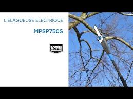Elagueuse Sur Perche Electrique Mps750 Mac Allister 616837 Castorama Youtube
