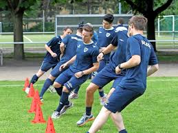 There is high probability for chemnitzer fc to win this match. Bauplane Fur Die Sandscholle Sv Babelsberg 03 Zeigt Verstandnis Maz Markische Allgemeine