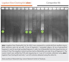 Ligation Free Cloning Kit 95 00 Us95 00 Cloning Kits