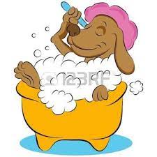 An Image Of A Two Clean Dogs In A Bathtub Bubble Bath Stock Illustration Cat Shampoo