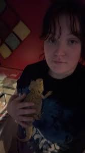 Bearded Dragons Lovers