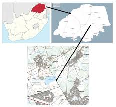 Image result for Thecacoris trichogyne