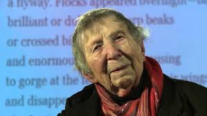 Lois Beebe's Instagram, Twitter & Facebook