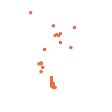 Image result for Lepistemon