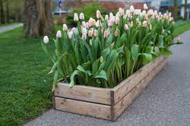 How do you plant bulbs in a container? What To Know About Using A Wooden Crate As A Planter Box