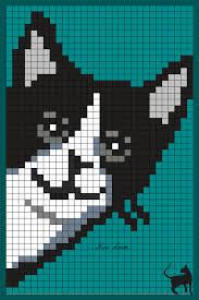 Chat Noir Et Blanc Png Tricot Chat Chat Noir Et Blanc Point De Croix