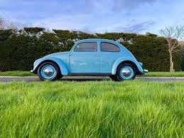 Image result for Atlantic Blue 1950 Beetle