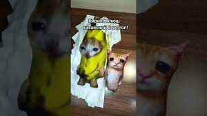 Кирилл плюш = Китайский блоптоп #кириллплюш #блоптоп #эльгато #bananacat  #мягкаяигрушка #мемы - YouTube