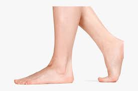 Feet Png Transparent Background Png Download Transparent Png Image Pngitem Lift your spirits with funny jokes, trending memes, entertaining gifs, inspiring stories, viral videos, and so much. feet png transparent background png