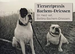 Die 10 Besten Fur Tierarzt In Essen 2021 Bei Die Essener