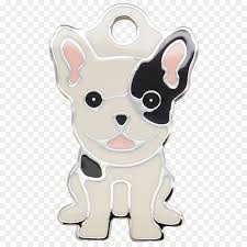 French Bulldog Boston Terrier Puppy Dog Breed Dog Claw