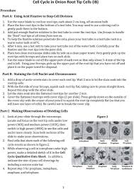 Pin On Printable Worksheet Answer Key