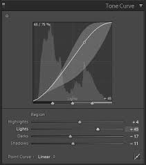 That's why it's important to learn the main shortcuts for adobe premiere pro, so. How To Adjust Image Tone And Color And Work In Grayscale In Lightroom Classic