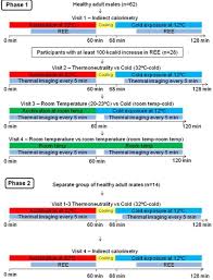 Flow Chart Of Study Visits In Phase 1 28 Out Of 62 Healthy