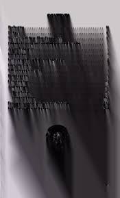 Image result for Kyllinga robinsoniana